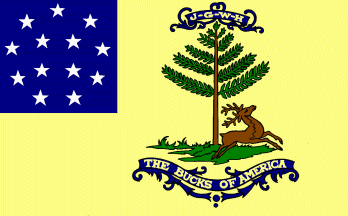 [Bucks of America flag]